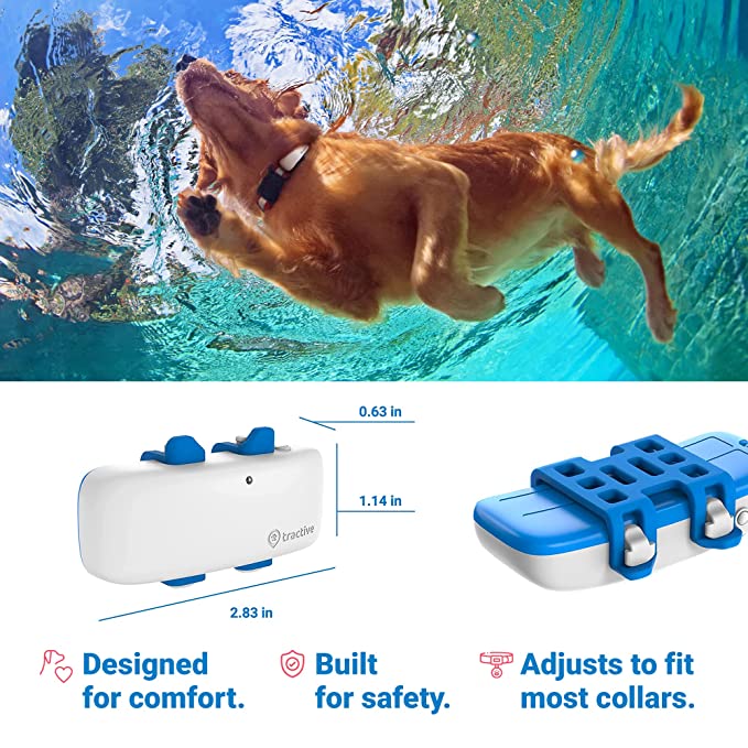 cool dog gadget dog gps image along with a swimming dog